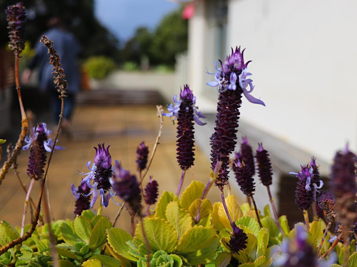 Bellum Hotel Mount Gambier Exteriér fotografie