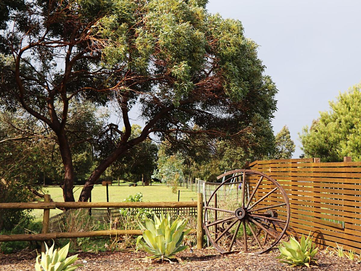 Bellum Hotel Mount Gambier Exteriér fotografie