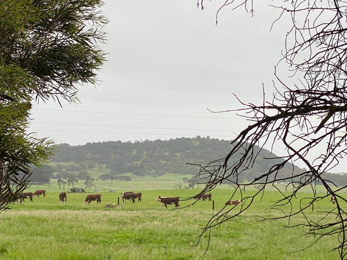 Bellum Hotel Mount Gambier Exteriér fotografie